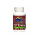 Garden of Life FYI Restore Muscle & Tissue Recovery