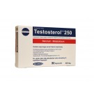 Megabol Testosterol 250 steroles Metabolikum