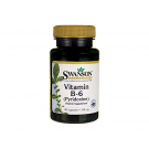 Swanson Vitamin B-6 (Pyridoxine) 100mg