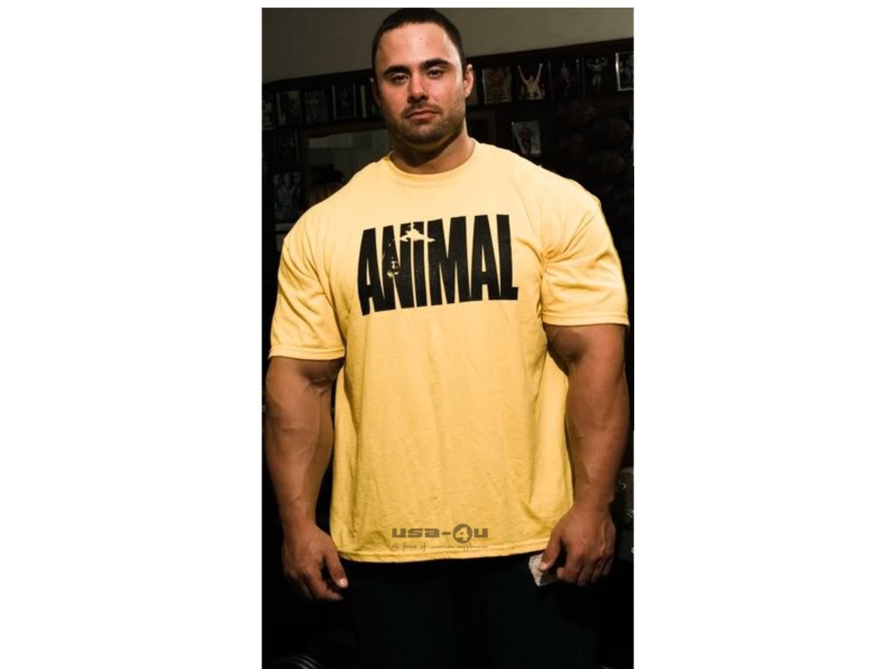 Universal Nutrition Animal Shirt Iconic Original USA